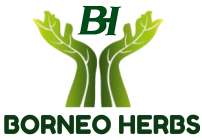 Borneo Herbs Logo